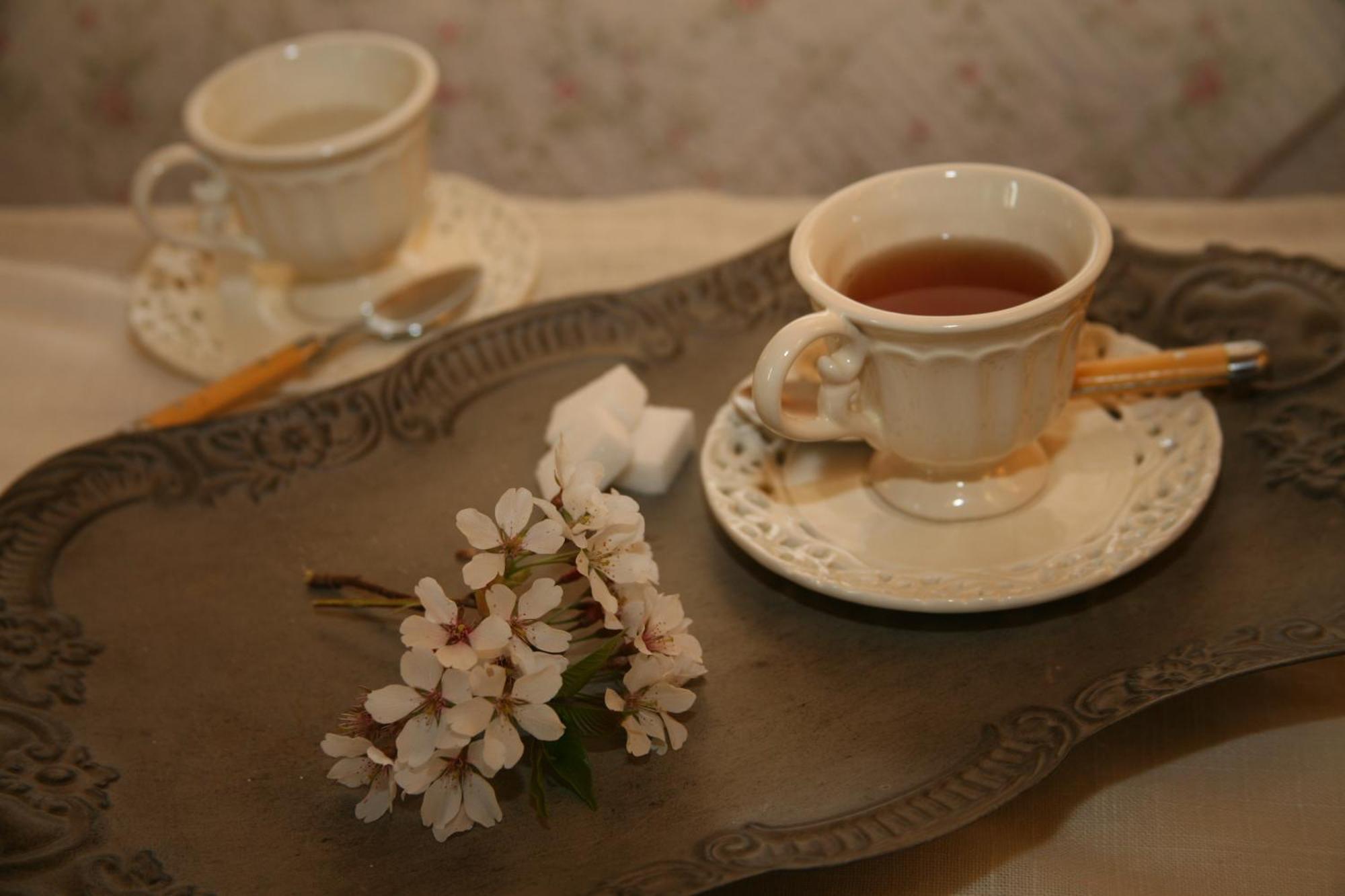 Chambres "Au Jardin" 비스카로세 외부 사진